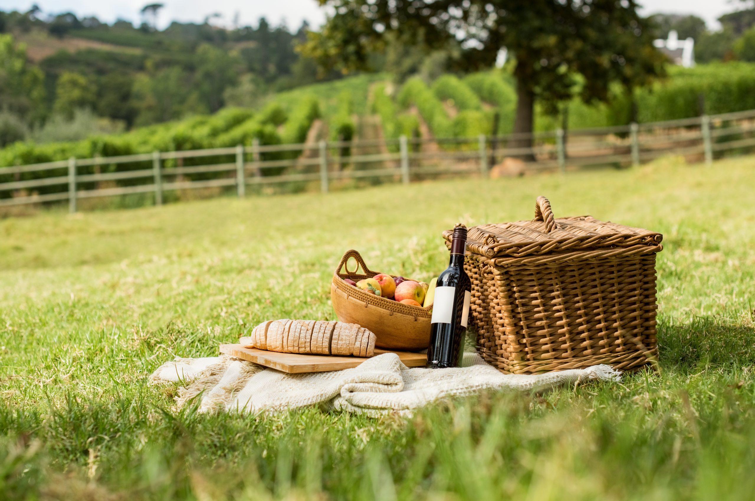 Picnic basket on grass with food and drink on blanket. Picnic lunch outdoor in a nice field on sunny day with bread, fruit and bottle of red wine. Pic nic on green grass with landscape in the background.